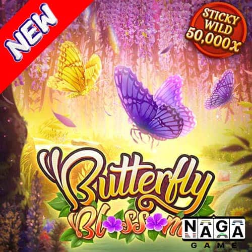 BUTTERFLY-BLOSSOM-ปกนอก
