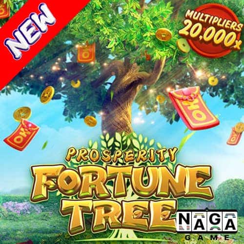 PROSPERITY-FORTUNE-TREE-ปกนอก