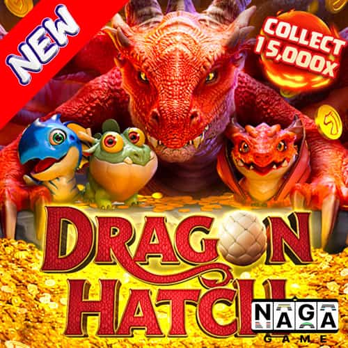 DRAGON-HATCH-ปกนอก